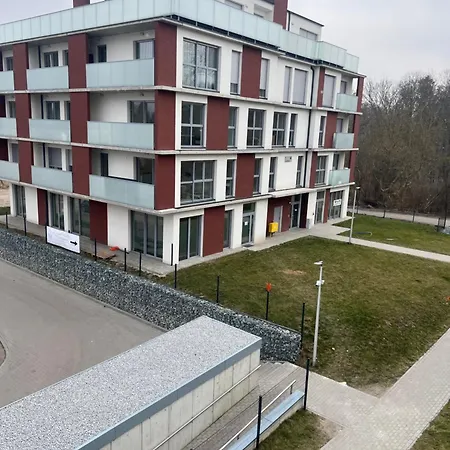 Debowe Wzgorze 10 Zlotow (Greater Poland)